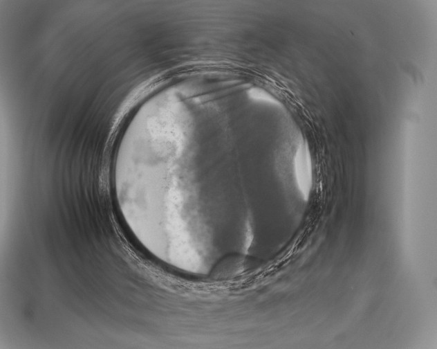 X0000112970004200909241336