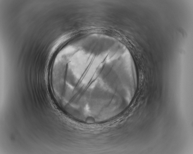 X0000112970006200909241336