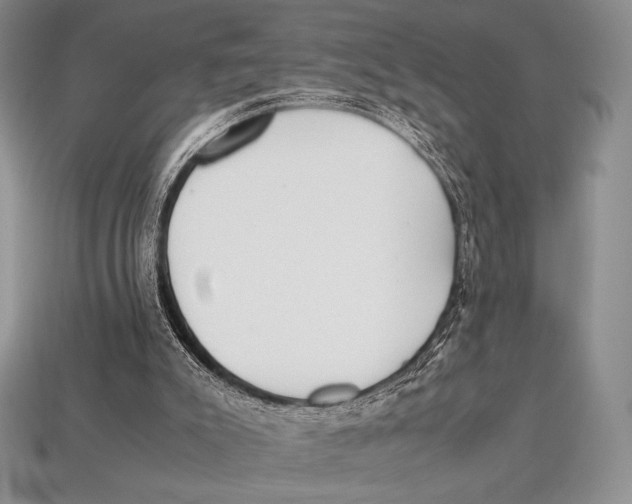 X0000112970007200909241336