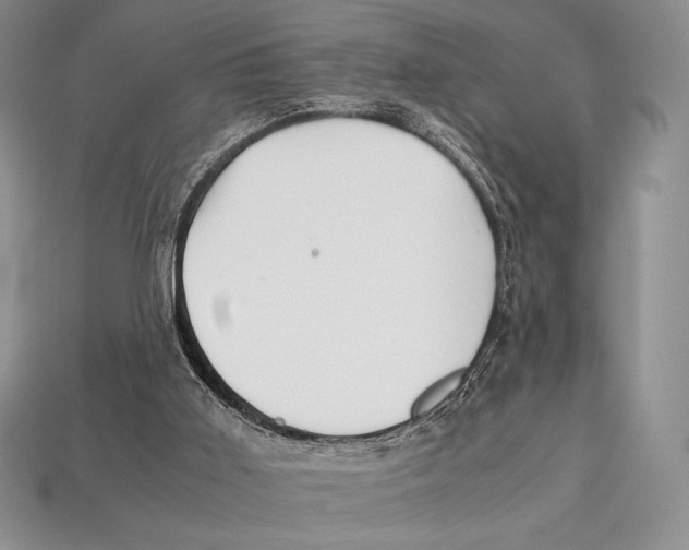X0000112970011200909241336