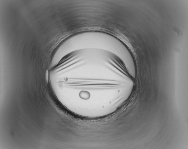 X0000112970013200909241336