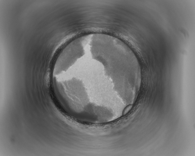 X0000112970016200909241336