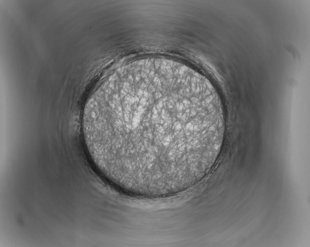 X0000112970017200909241336