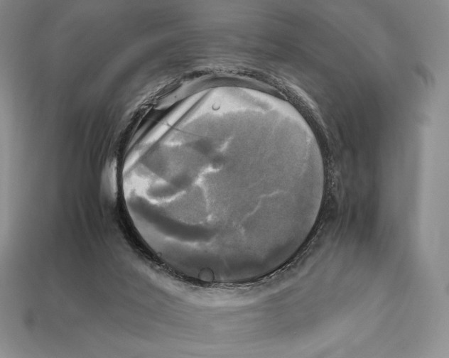 X0000112970020200909241336