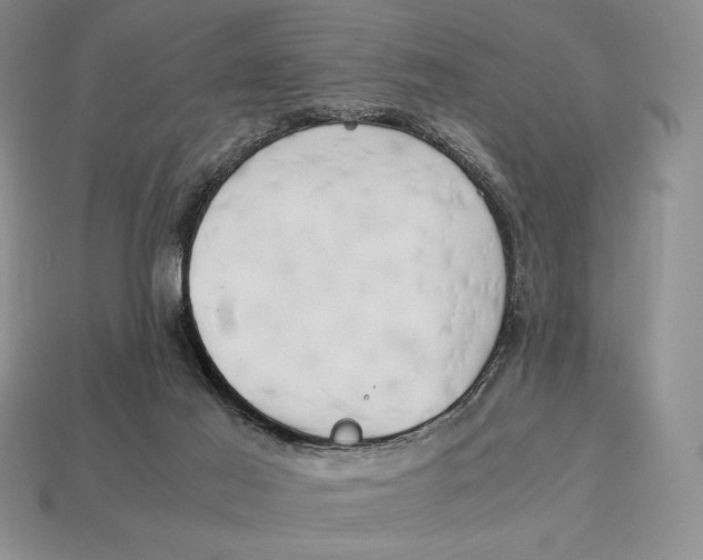 X0000112970021200909241336
