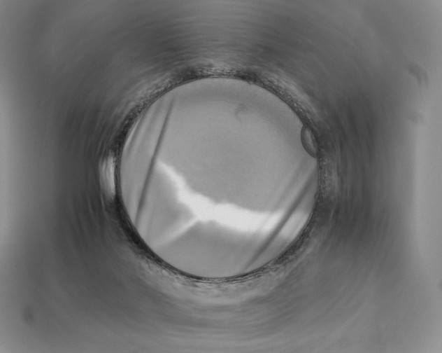 X0000112970022200909241336