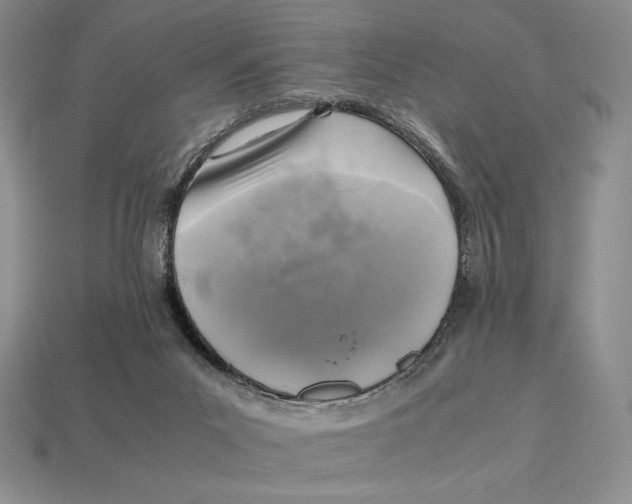 X0000112970023200909241336