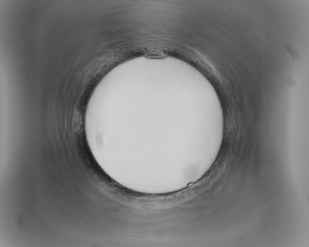X0000112970025200909241335
