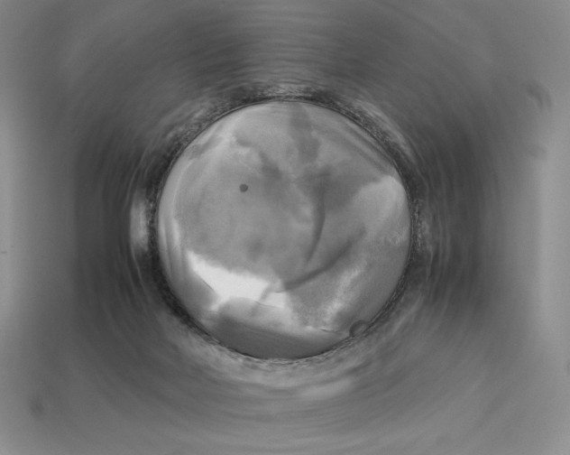 X0000112970026200909241335