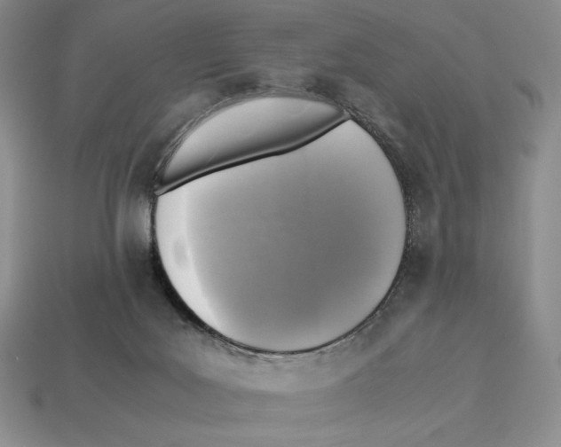X0000112970027200909241335