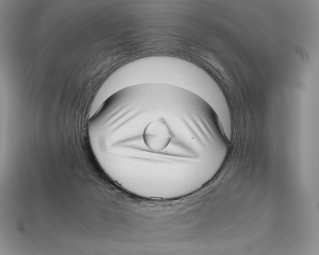 X0000112970029200909241335