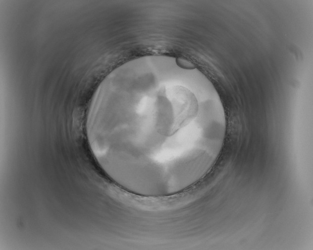 X0000112970030200909241335
