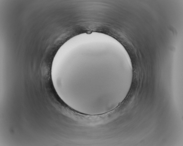X0000112970031200909241335