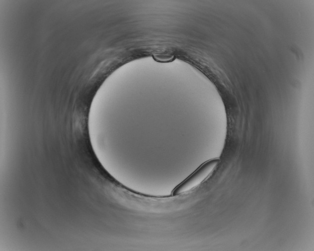 X0000112970035200909241335