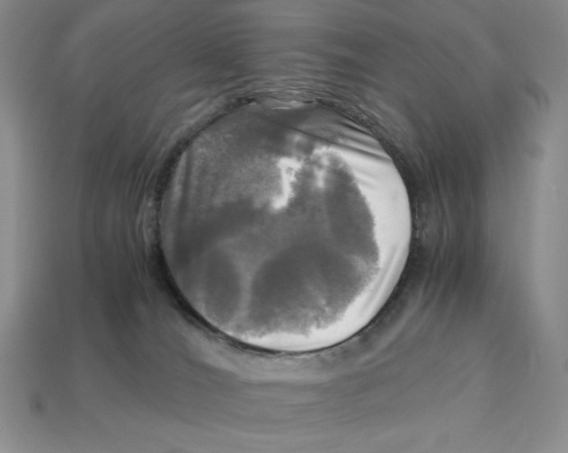 X0000112970036200909241335