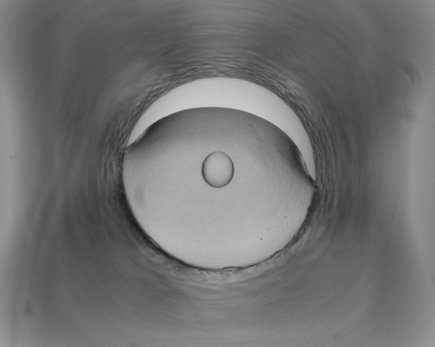 X0000112970037200909241335