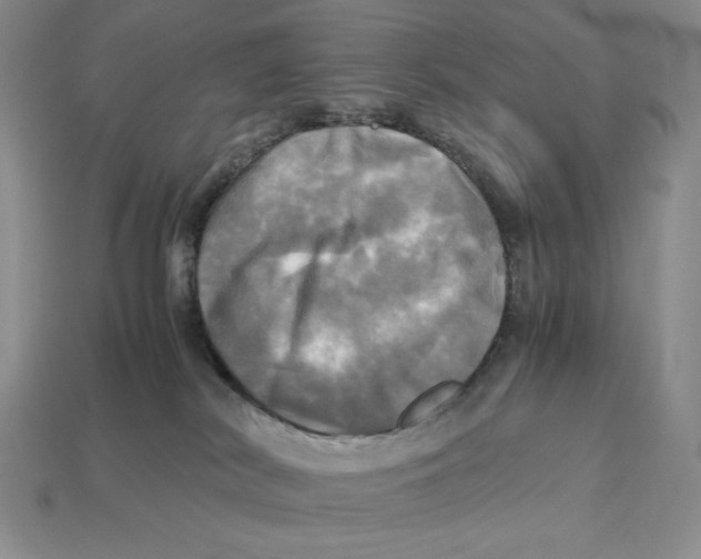 X0000112970038200909241335