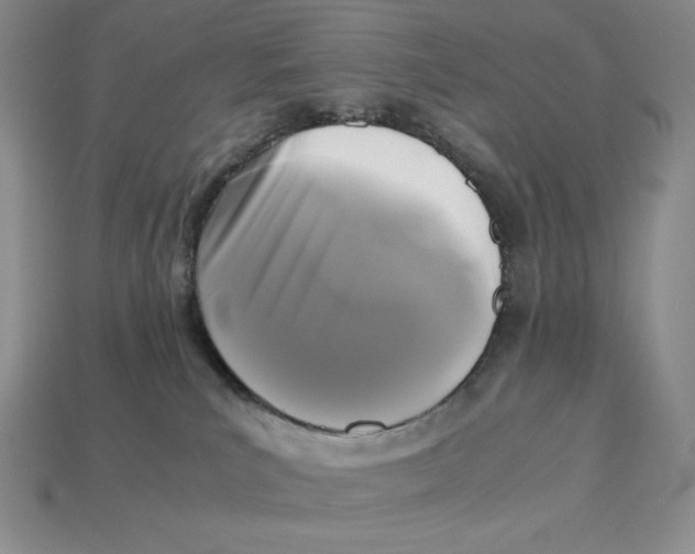 X0000112970039200909241335