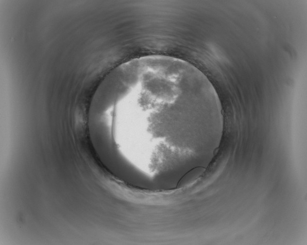 X0000112970040200909241335