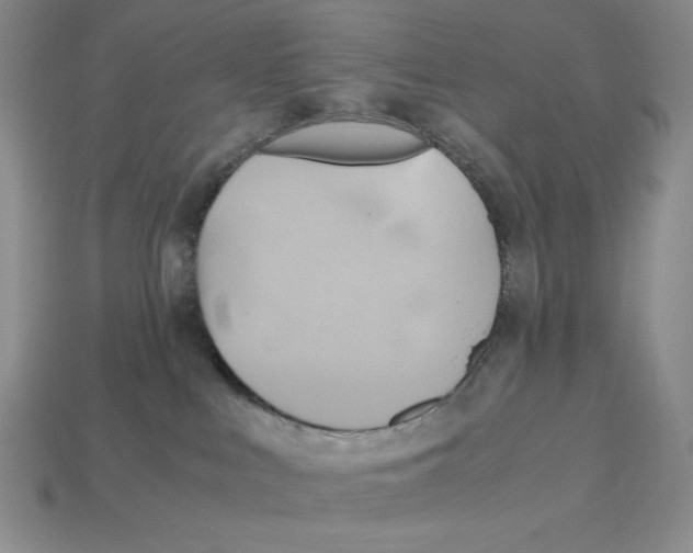 X0000112970043200909241335