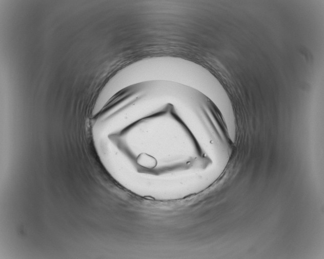X0000112970045200909241335