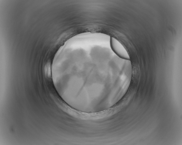 X0000112970046200909241335