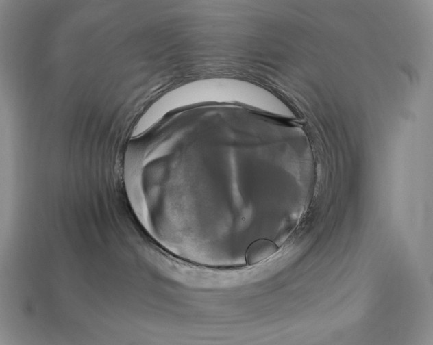 X0000112970048200909241335
