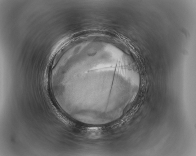 X0000112970053200909241335