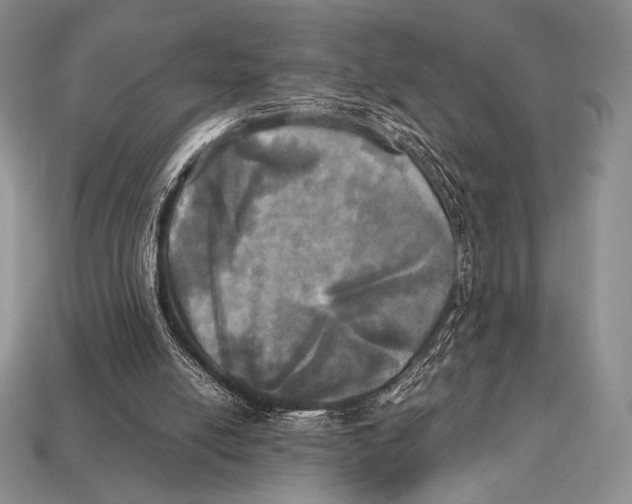 X0000112970054200909241335