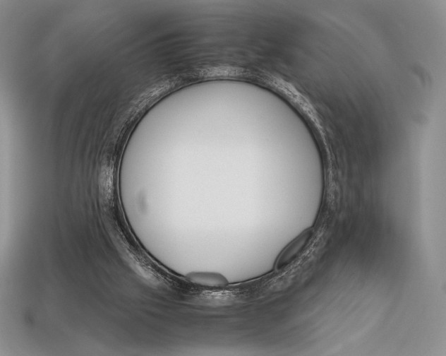 X0000112970057200909241335