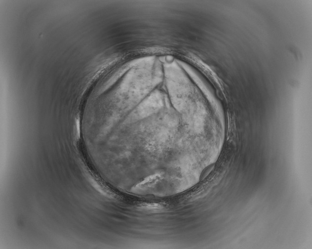 X0000112970061200909241335