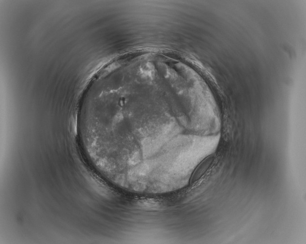 X0000112970062200909241335