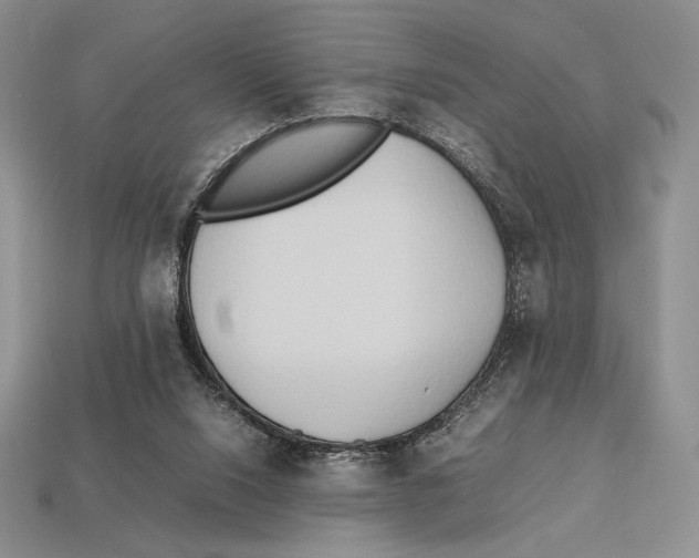 X0000112970064200909241335