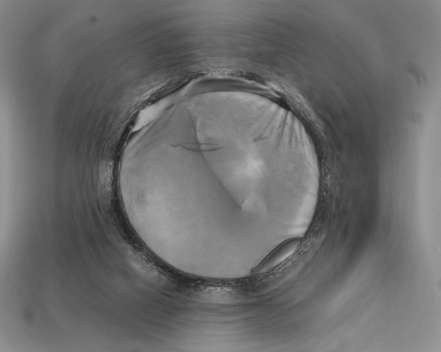 X0000112970066200909241335
