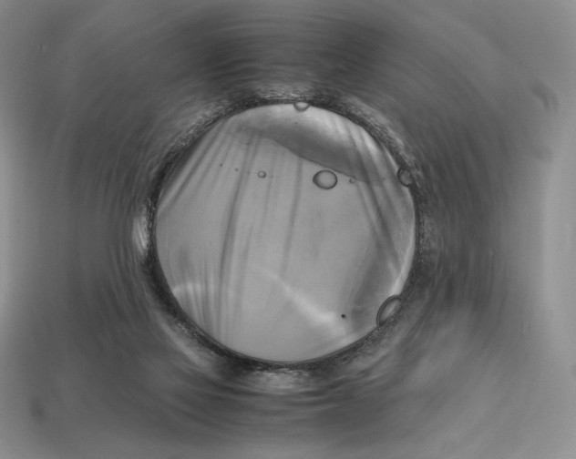 X0000112970069200909241335
