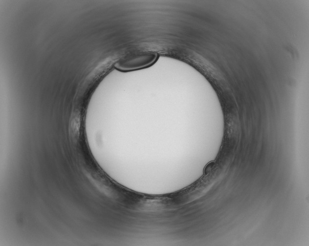 X0000112970072200909241335