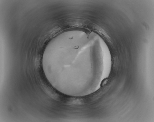 X0000112970073200909241335