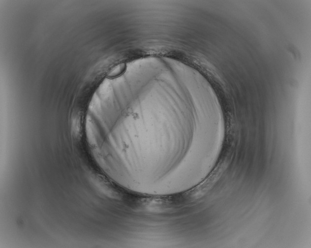 X0000112970074200909241335