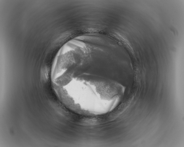 X0000112970075200909241335