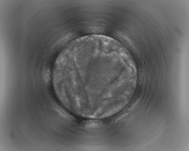 X0000112970077200909241335