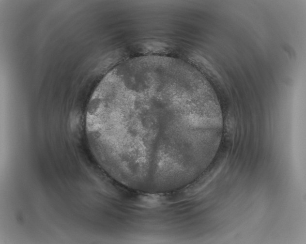 X0000112970079200909241335