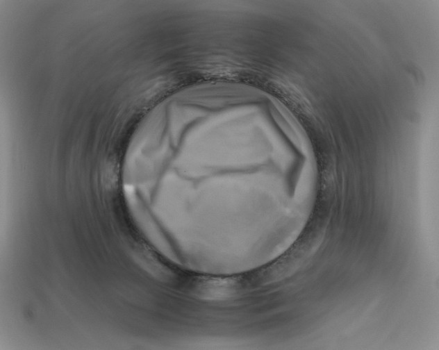 X0000112970081200909241335