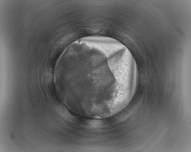 X0000112970085200909241335