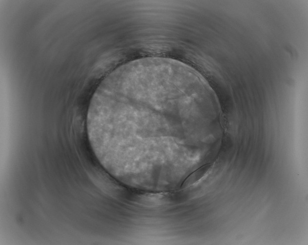 X0000112970086200909241335