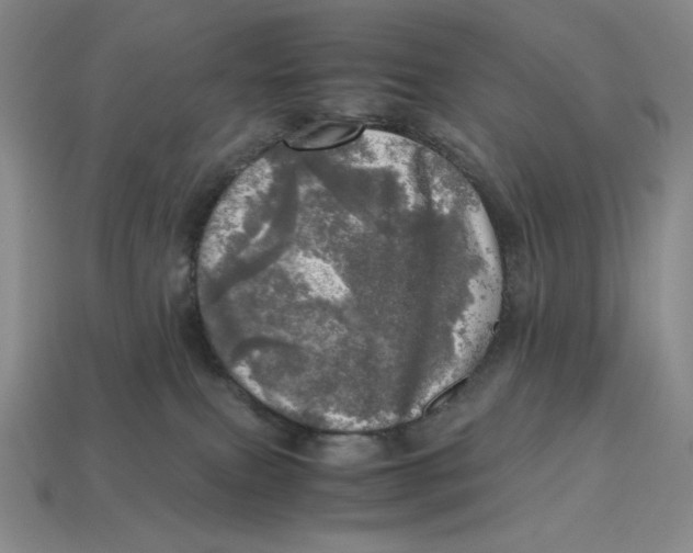 X0000112970087200909241335
