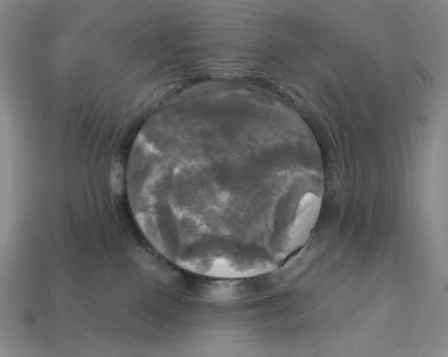 X0000112970090200909241335