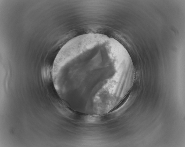 X0000112970094200909241335
