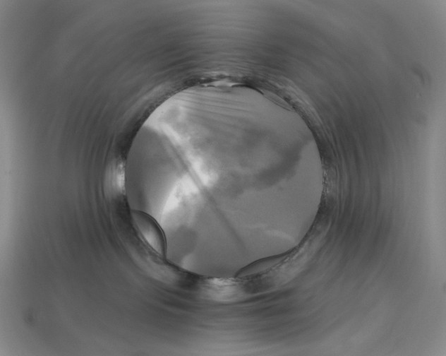 X0000112970095200909241335
