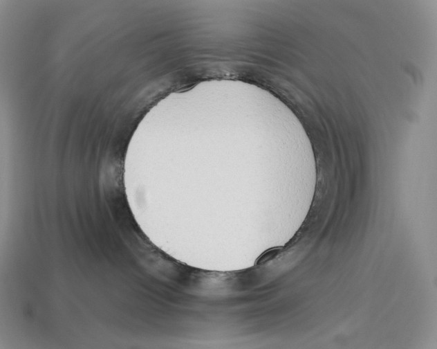 X0000112970096200909241335