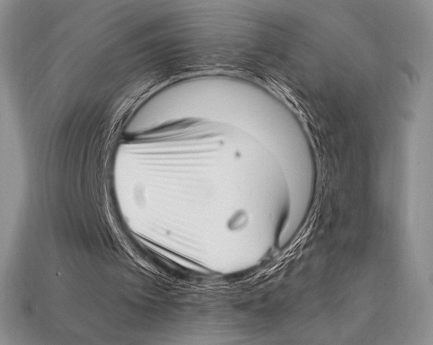 X0000112970097200909241335